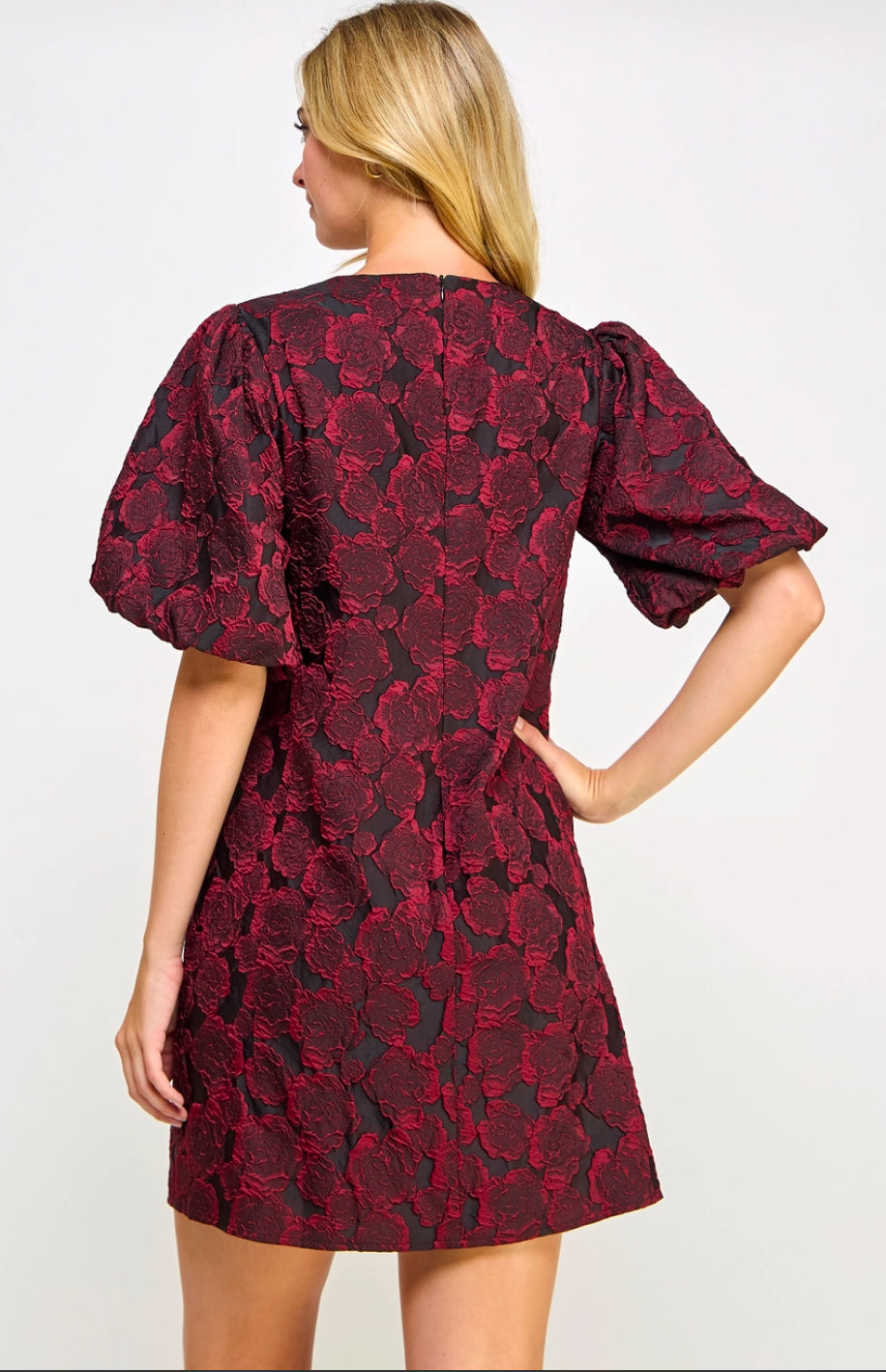 Puff Sleeve Jacquard Dress